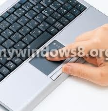 How to Turn PalmCheck On or Off for Touchpad in Windows 8? PalmCheck