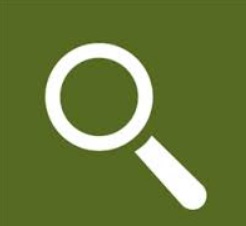 New Pocket Magnifier app by Nokia New Pocket Magnifier app by Nokia