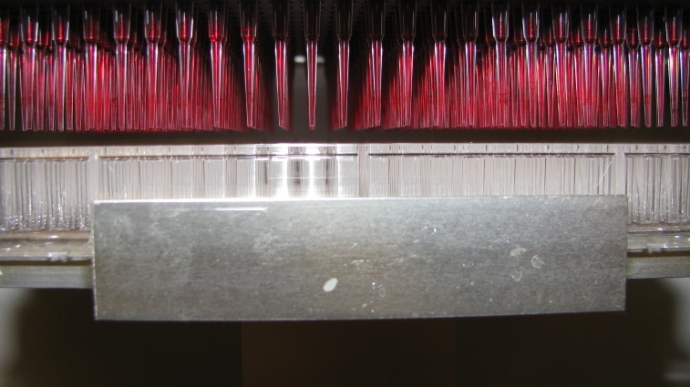 Microsoft purchases 10 million synthetic DNA for generating powerful data storage Microsoft purchases 10 million synthetic DNA for generating powerful data storage