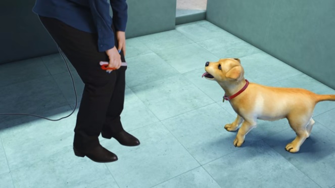 Windows Holographic experience for Windows 10 by next year Windows Holographic experience for Windows 10 by next year