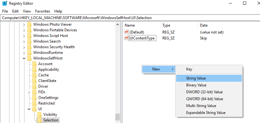 How To Get Skip Ahead Windows 10 Insider Builds?