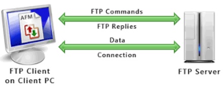 ftp server