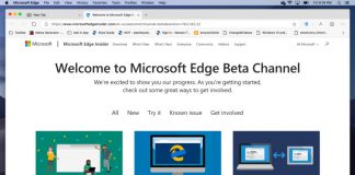 Microsoft Edge Beta Leaks For macOS