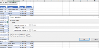 How To Custom Filter Data For Excel Worksheet In VBA For MS Excel? vba filter excel