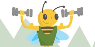 Best Windows Apps for Translators wordbee