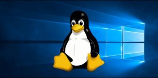 Microsoft Bringing Graphical Linux Apps With GPU Support In Windows 10 Microsoft Bringing Graphical Linux Apps With GPU Support In Windows 10