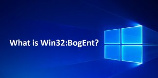 What is Win32:BogEnt? What is Win32:BogEnt