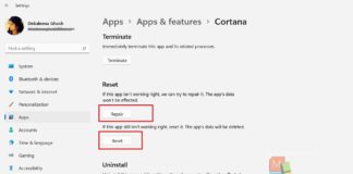 How To Fix “Cortana Voice Commands Not Working” On Windows 11?