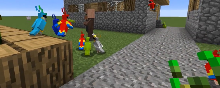 How To Tame A Parrot in Minecraft?